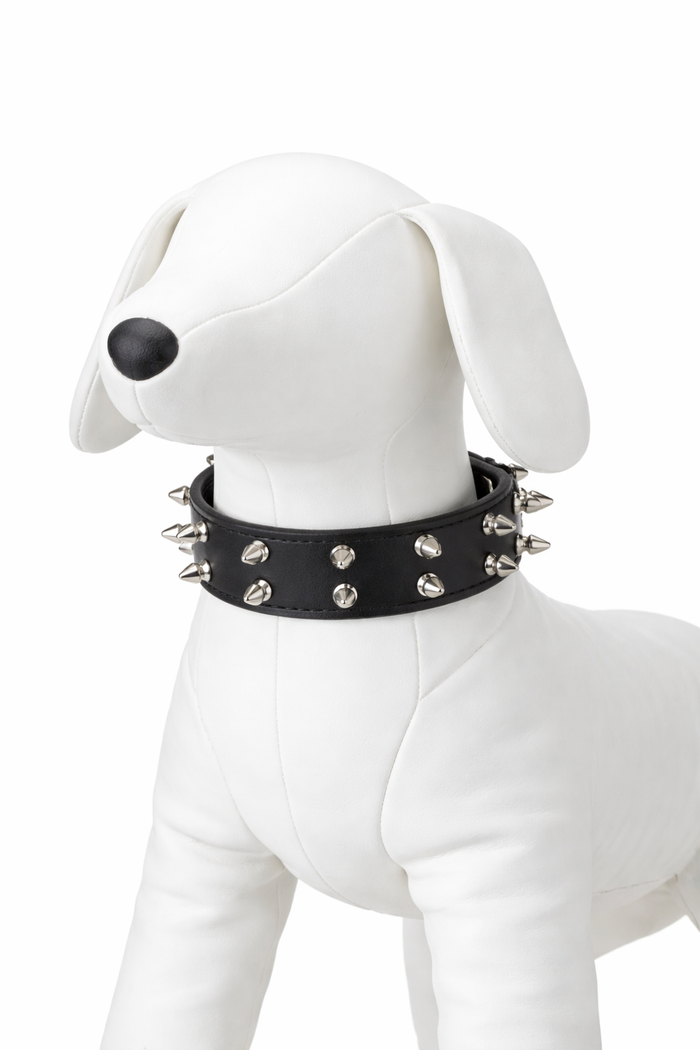 Double Studded Collar