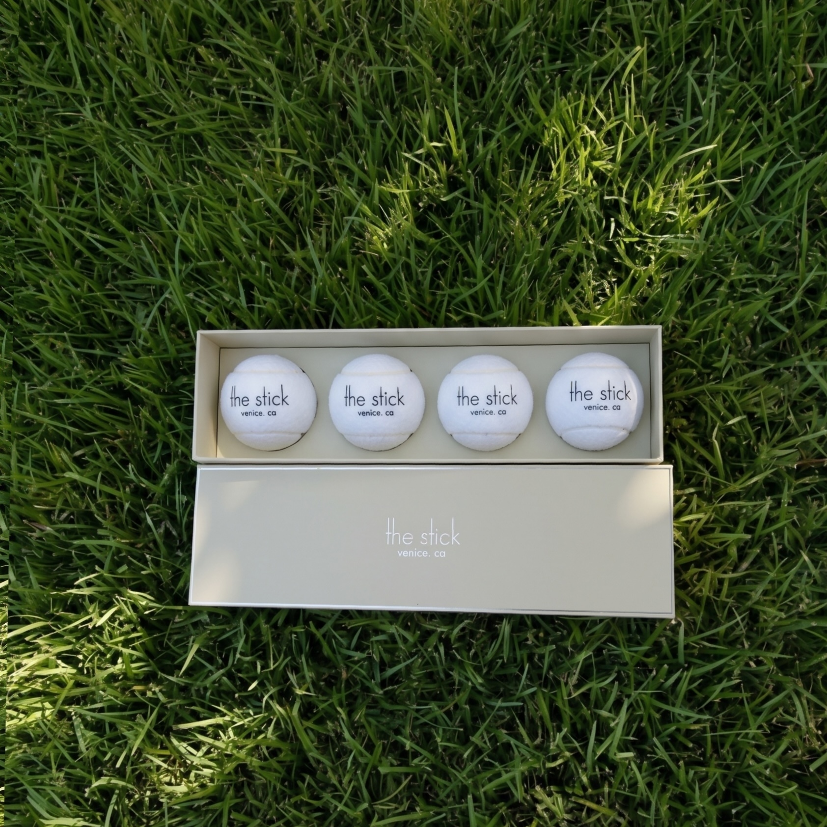 Tennis Ball Boxes — four balls and lid on grass